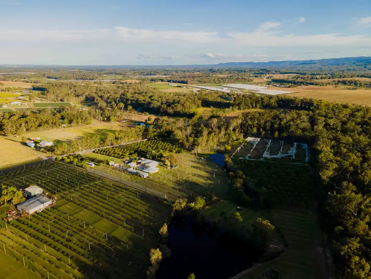 Fifth view of Homely rural property listing, 47-73 Mcclintock Road, Wamuran QLD 4512