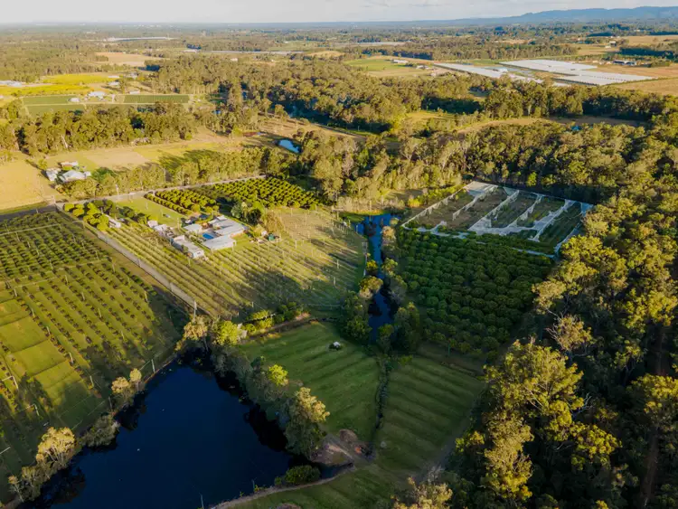 Sixth view of Homely rural property listing, 47-73 Mcclintock Road, Wamuran QLD 4512