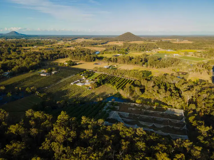 Seventh view of Homely rural property listing, 47-73 Mcclintock Road, Wamuran QLD 4512