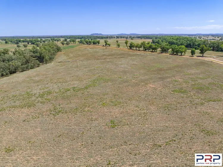 Sixth view of Homely rural property listing, 4159 Lachlan Valley Way, Warroo NSW 2871