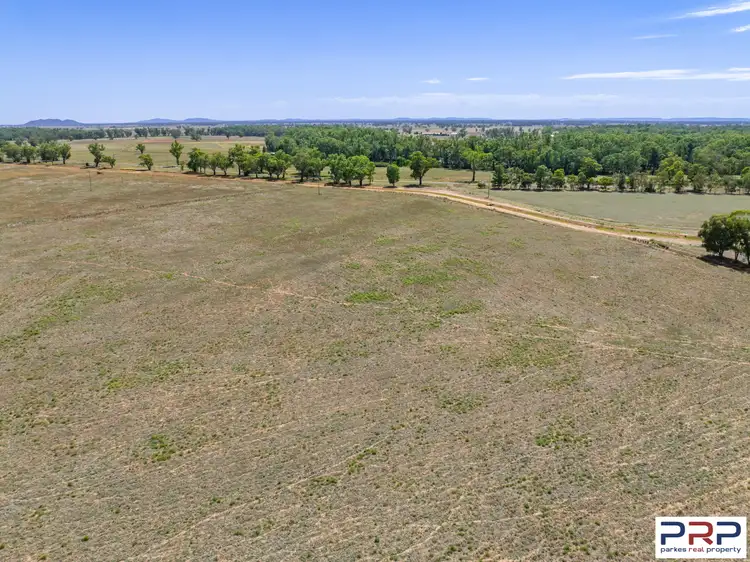 Seventh view of Homely rural property listing, 4159 Lachlan Valley Way, Warroo NSW 2871