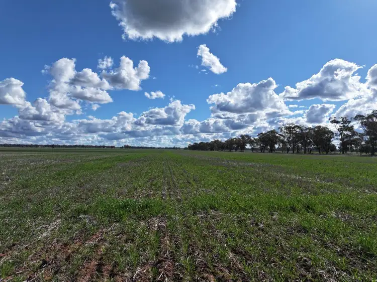 'Garthewn' 810 Quandary Road, Temora NSW 2666