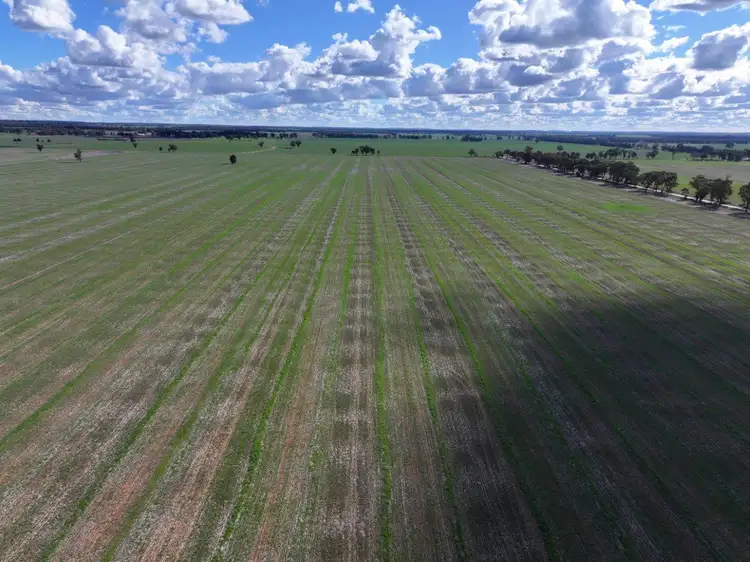 Seventh view of Homely rural property listing, 'Garthewn' 810 Quandary Road, Temora NSW 2666