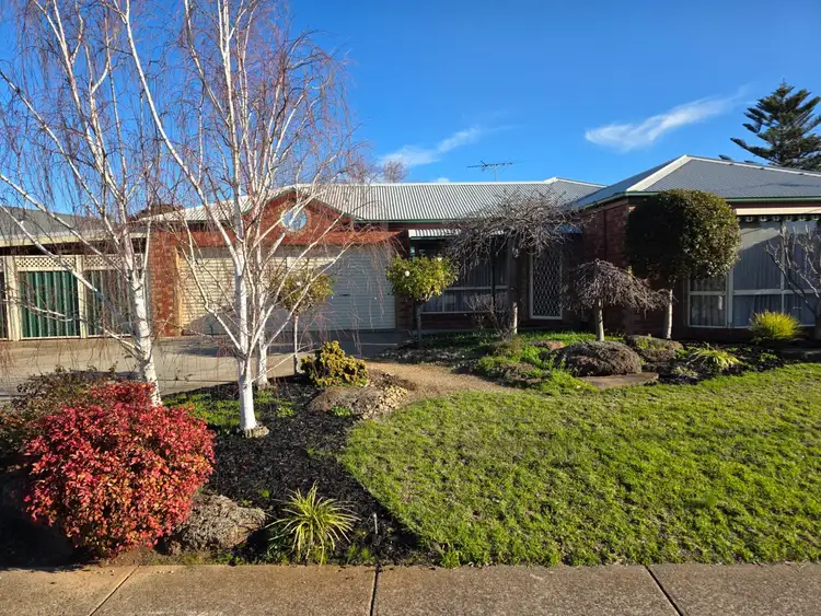 Main view of Homely house listing, 81 Birchwood Boulevard, Hoppers Crossing VIC 3029