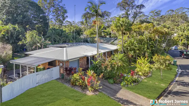 Main view of Homely house listing, 3 Palmer Crescent, Tewantin QLD 4565