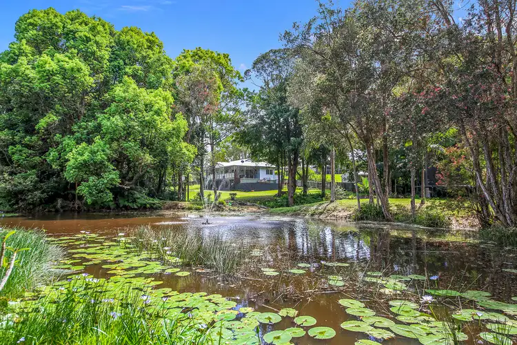 3 Curlew Crescent, Cooroy QLD 4563