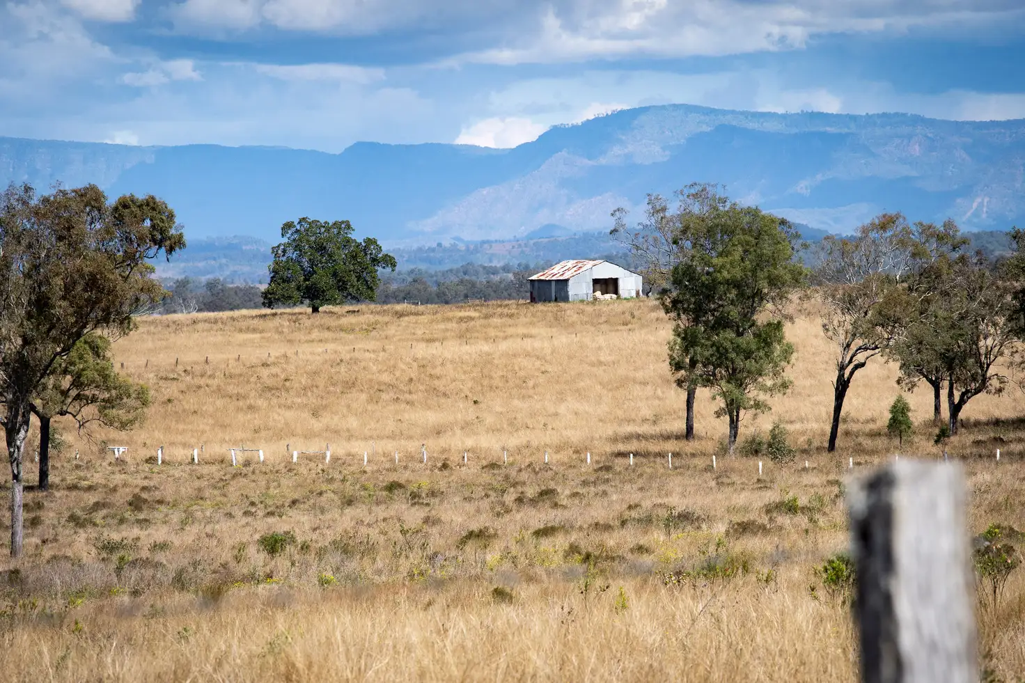 Main view of Homely rural property listing, 16 Sealeys Road, Harrisville QLD 4307
