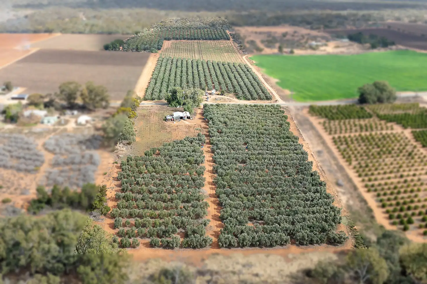 Main view of Homely rural property listing, 334 Katarapko Crescent, Winkie SA 5343