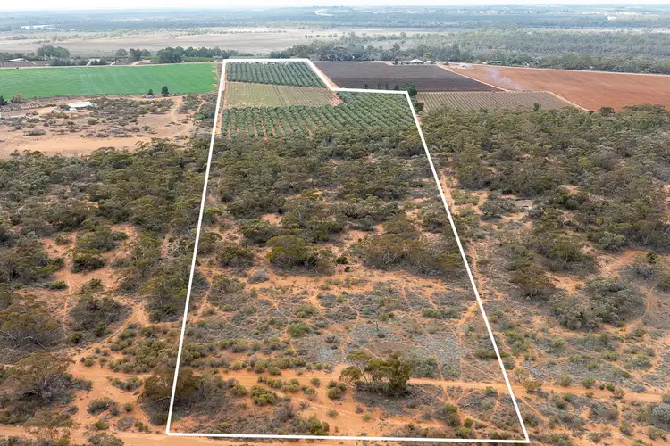 Seventh view of Homely rural property listing, 334 Katarapko Crescent, Winkie SA 5343