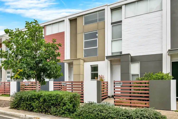 30 Jeffcott Avenue, Lightsview SA 5085