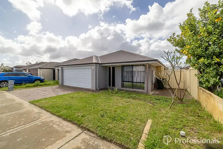 8 Amaranthus Road, Seville Grove WA 6112