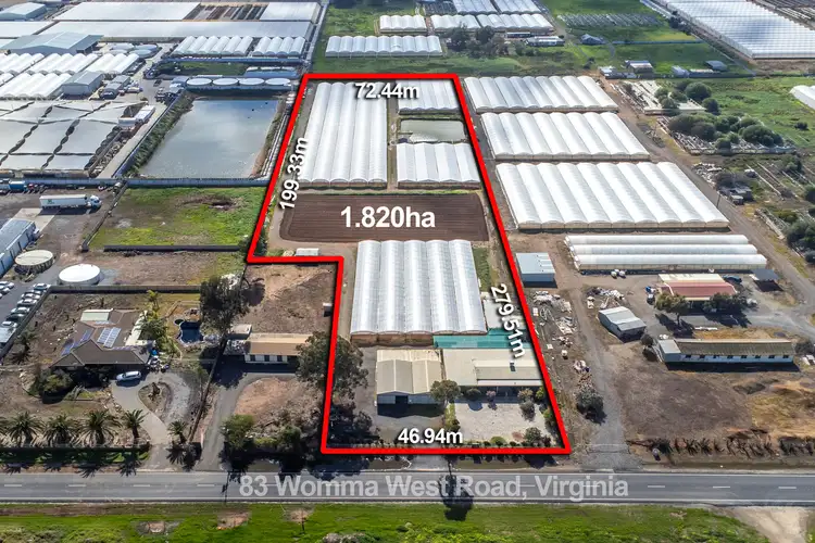 83 Womma West Road, Virginia SA 5120
