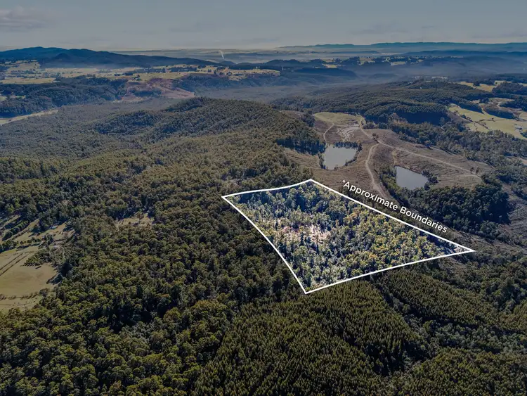Main view of Homely rural property listing, Lot 2 Harland Rise Road, Paradise TAS 7306