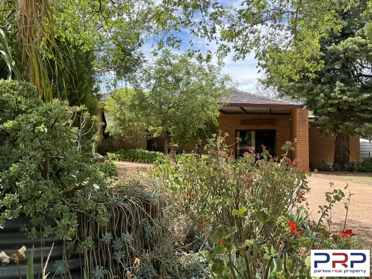 145 Back Yamma Road