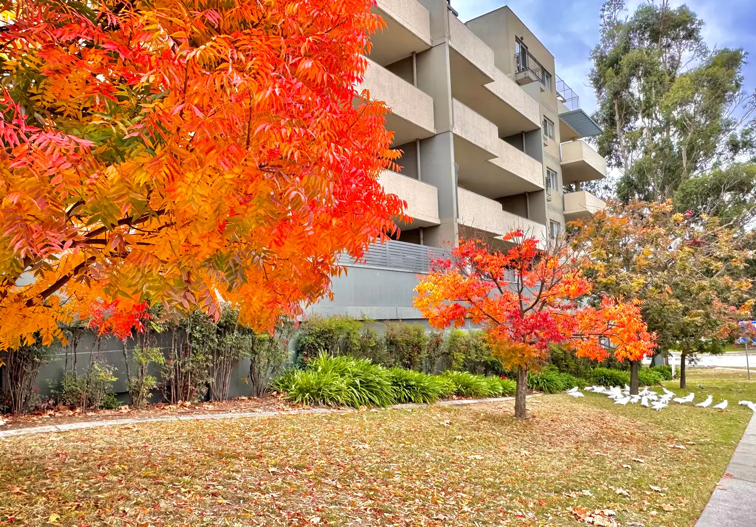 Main view of Homely unit listing, 10/12 Waniassa Street, Queanbeyan East NSW 2620