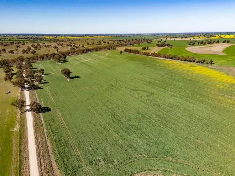 Seventh view of Homely rural property listing, Lot 1-7, Lot 67 & 84 Withers Road, Barooga NSW 3644