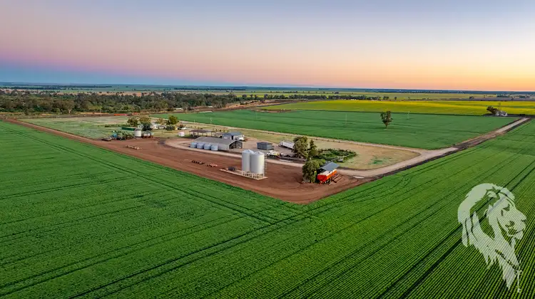 13012 Newell Highway, Narrabri NSW 2390