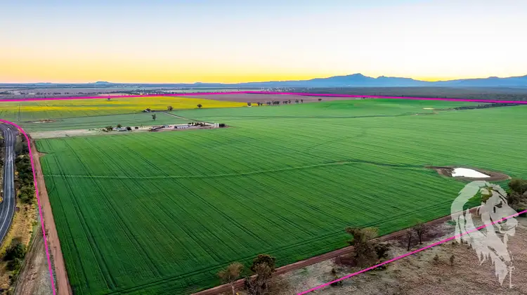 Fifth view of Homely rural property listing, 13012 Newell Highway, Narrabri NSW 2390