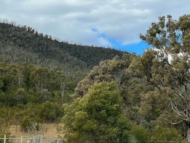 Third view of Homely rural property listing, 5484 Araluen Road, Araluen NSW 2622