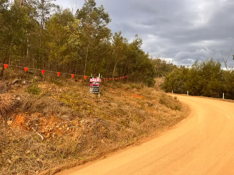 Sixth view of Homely rural property listing, 5484 Araluen Road, Araluen NSW 2622