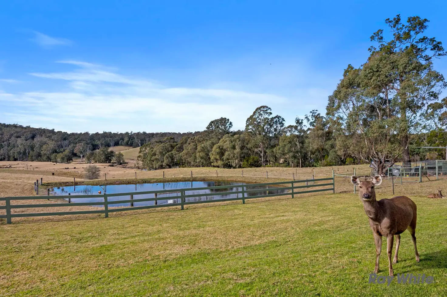 Main view of Homely house listing, 235 Wamban Road, Moruya NSW 2537