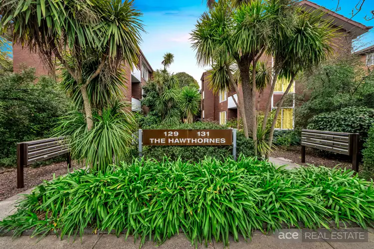 16/129-131 Riversdale Road, Hawthorn VIC 3122