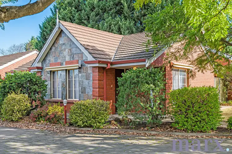 10/24 Elizabeth Street