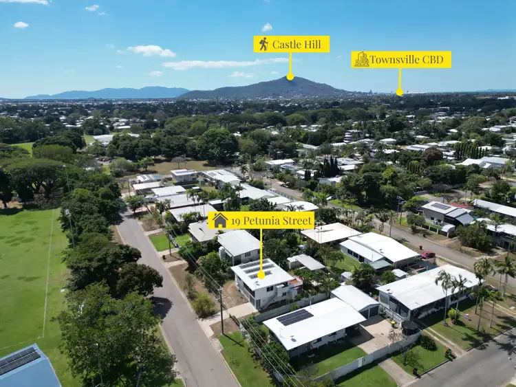 19 Petunia Street, Aitkenvale QLD 4814