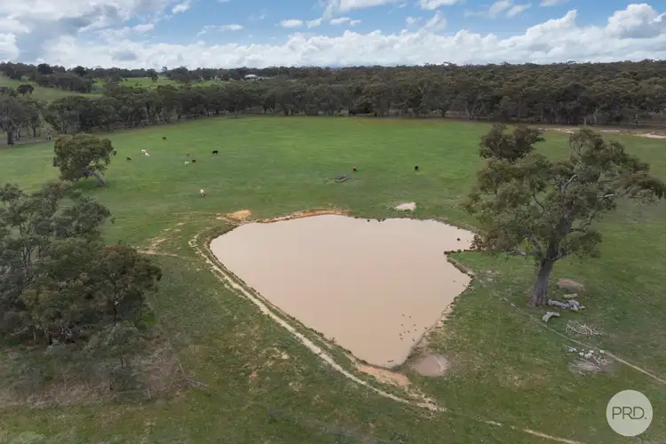 Fourth view of Homely land listing, 203 Browns Road, Burnbank VIC 3371