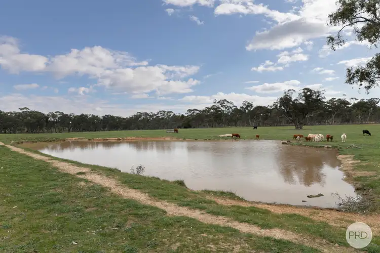 Fifth view of Homely land listing, 203 Browns Road, Burnbank VIC 3371