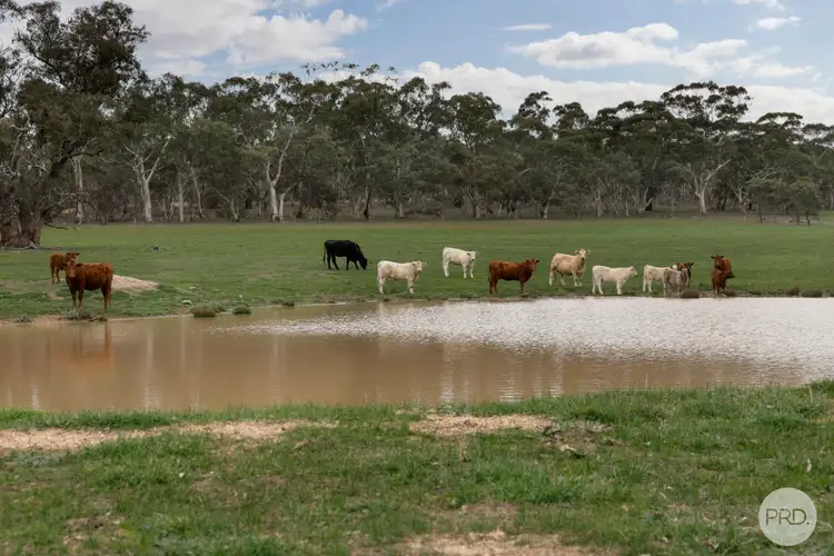 Sixth view of Homely land listing, 203 Browns Road, Burnbank VIC 3371