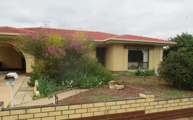 3 Anderson Street, Loxton SA 5333