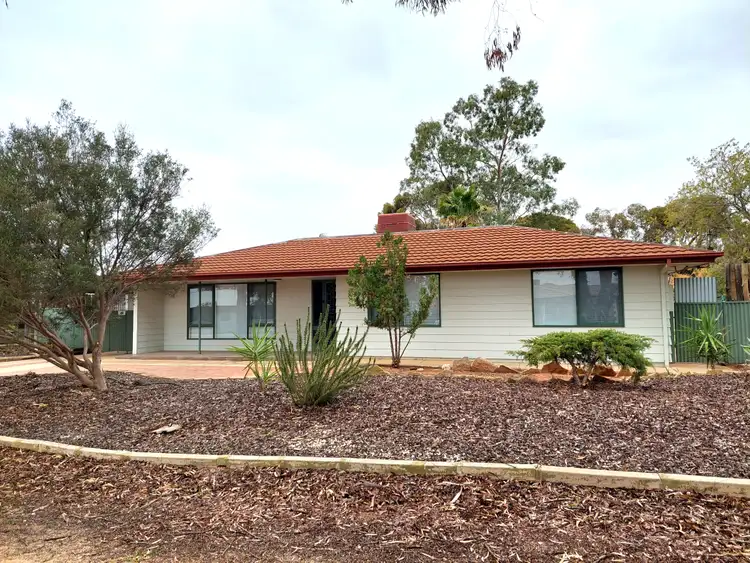 Main view of Homely house listing, 12 Cooper Street, Berri SA 5343