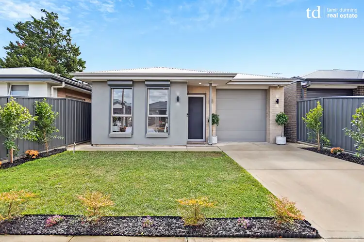 7 HMS Buffalo Avenue, Edwardstown SA 5039