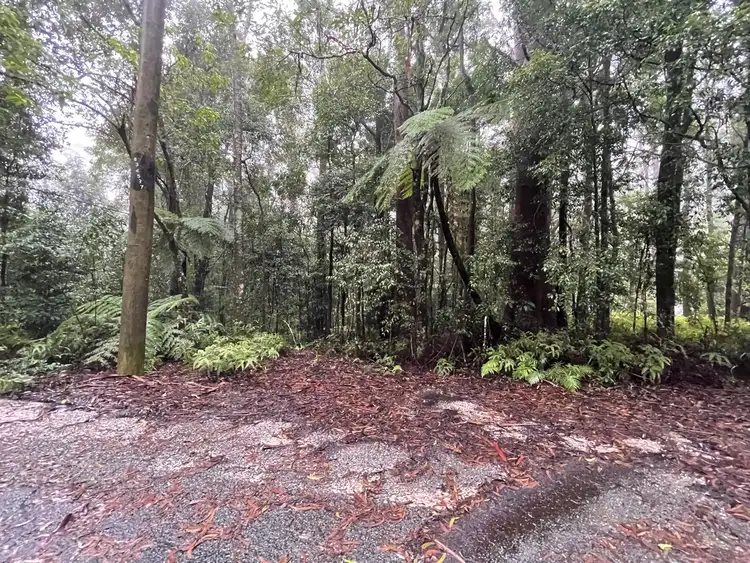Second view of Homely land listing, 5 Mundora Road, Springbrook QLD 4213