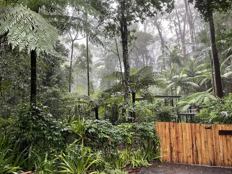 Fourth view of Homely land listing, 5 Mundora Road, Springbrook QLD 4213