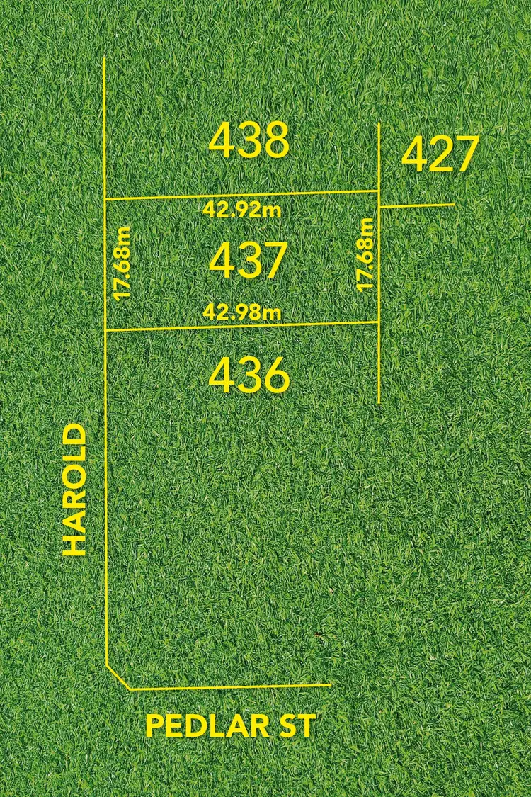 7 Harold Street, Seaton SA 5023