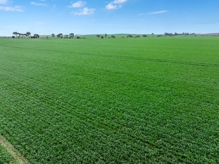 Second view of Homely rural property listing, 'Toringa' Toringa Road, Farrell Flat SA 5416