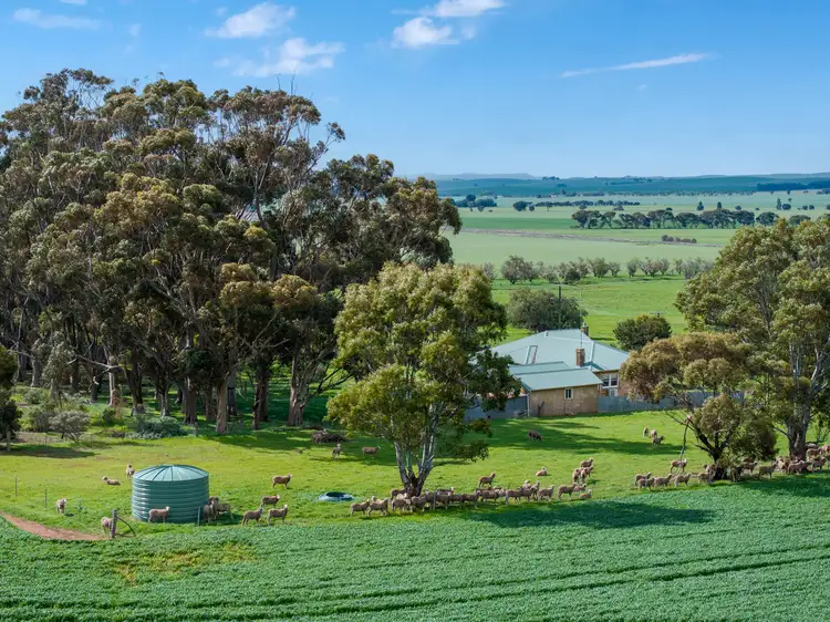 Fourth view of Homely rural property listing, 'Toringa' Toringa Road, Farrell Flat SA 5416