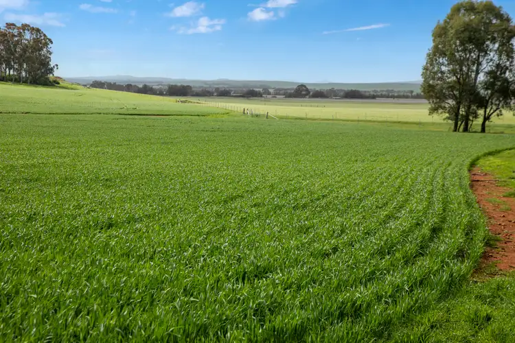 Sixth view of Homely rural property listing, 'Toringa' Toringa Road, Farrell Flat SA 5416