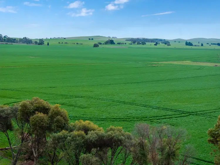 Seventh view of Homely rural property listing, 'Toringa' Toringa Road, Farrell Flat SA 5416