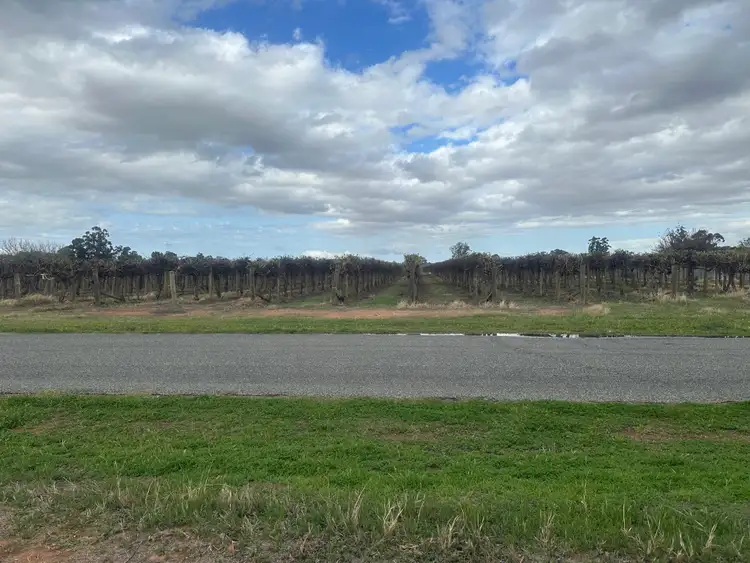 Lot 24 Tarcoola Street, Renmark West SA 5341