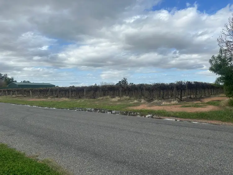 Second view of Homely rural property listing, Lot 24 Tarcoola Street, Renmark West SA 5341