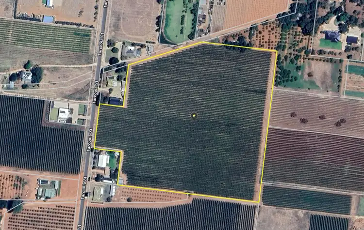 Fifth view of Homely rural property listing, Lot 24 Tarcoola Street, Renmark West SA 5341