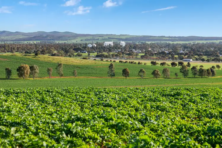 Main view of Homely rural property listing, 'Hamilton Run Farm' Murchland Drive, Jamestown SA 5491