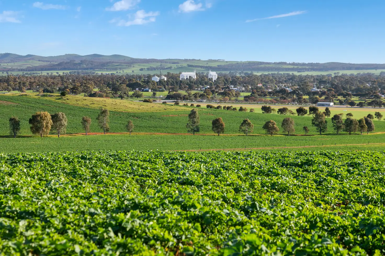 Main view of Homely rural property listing, 'Hamilton Run Farm' Murchland Drive, Jamestown SA 5491