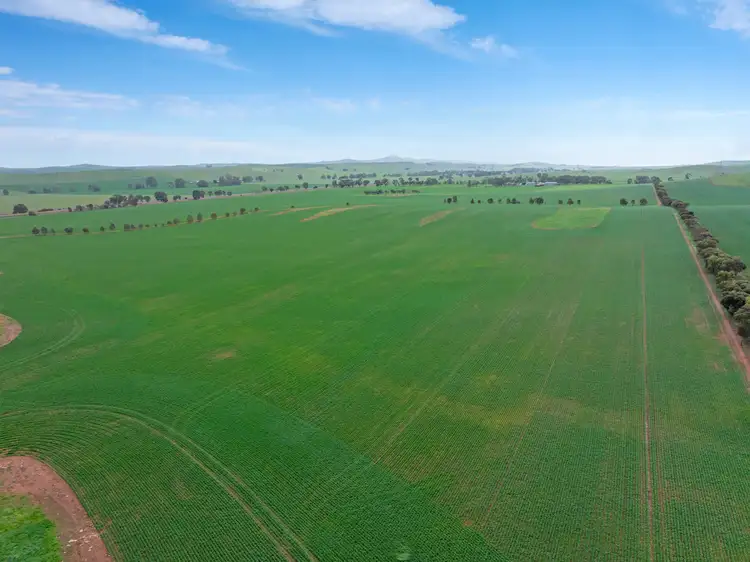 Fourth view of Homely rural property listing, 'Hamilton Run Farm' Murchland Drive, Jamestown SA 5491