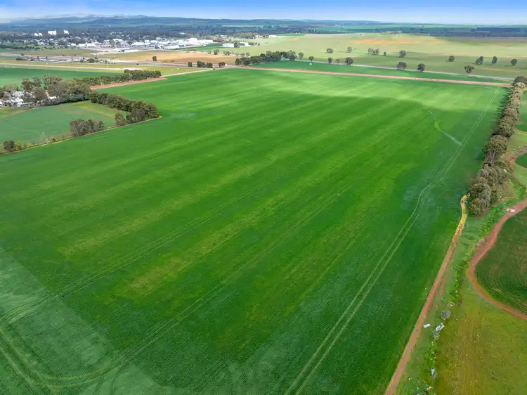 Sixth view of Homely rural property listing, 'Hamilton Run Farm' Murchland Drive, Jamestown SA 5491