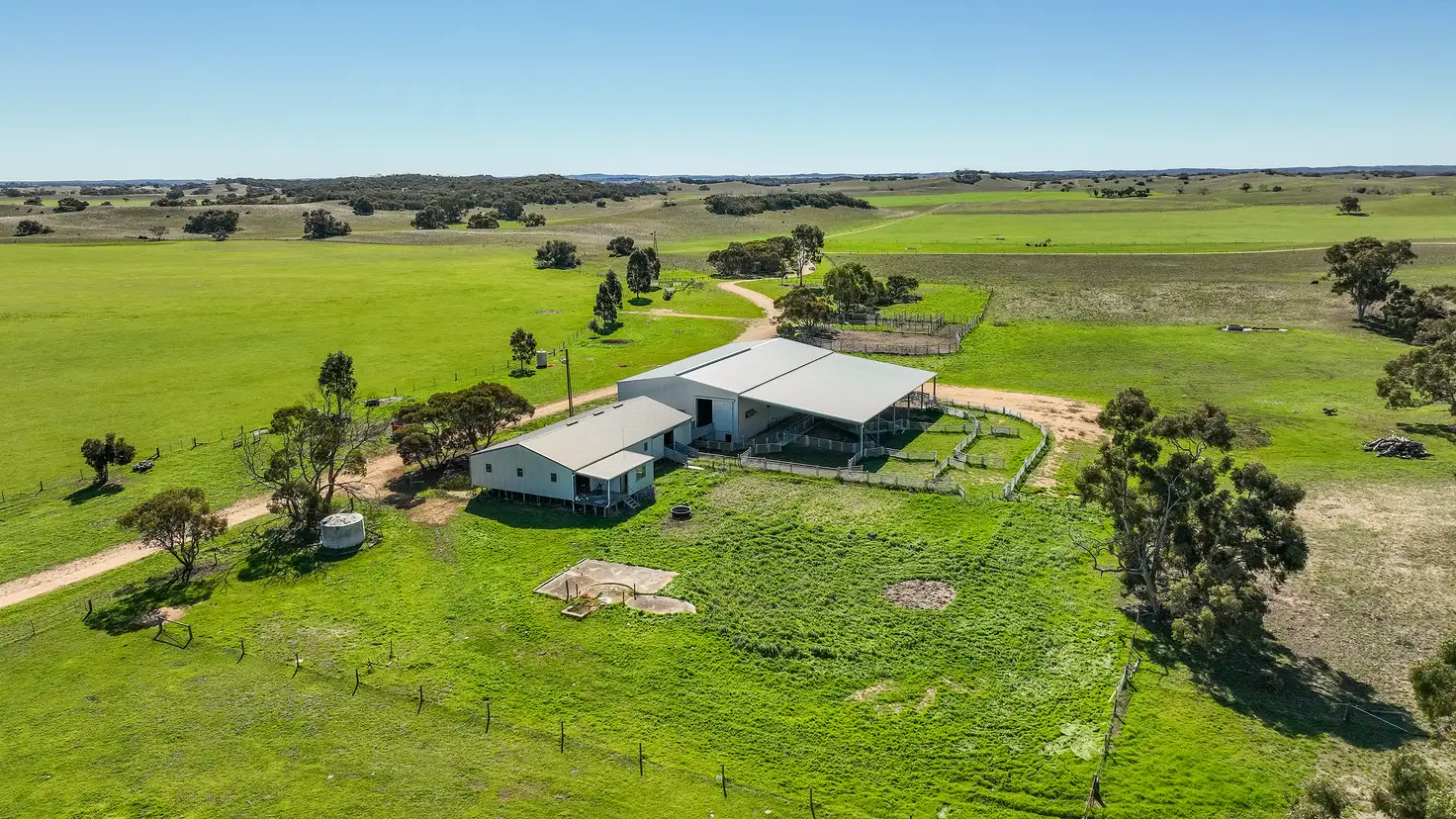 Main view of Homely rural property listing, 907 Pascoe Road, Coonalpyn SA 5265