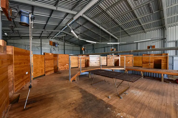 Fifth view of Homely rural property listing, 907 Pascoe Road, Coonalpyn SA 5265